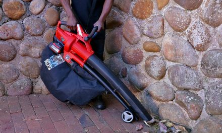 Einhell cordless leaf blower and vacuum: Don’t let leaves trouble you
