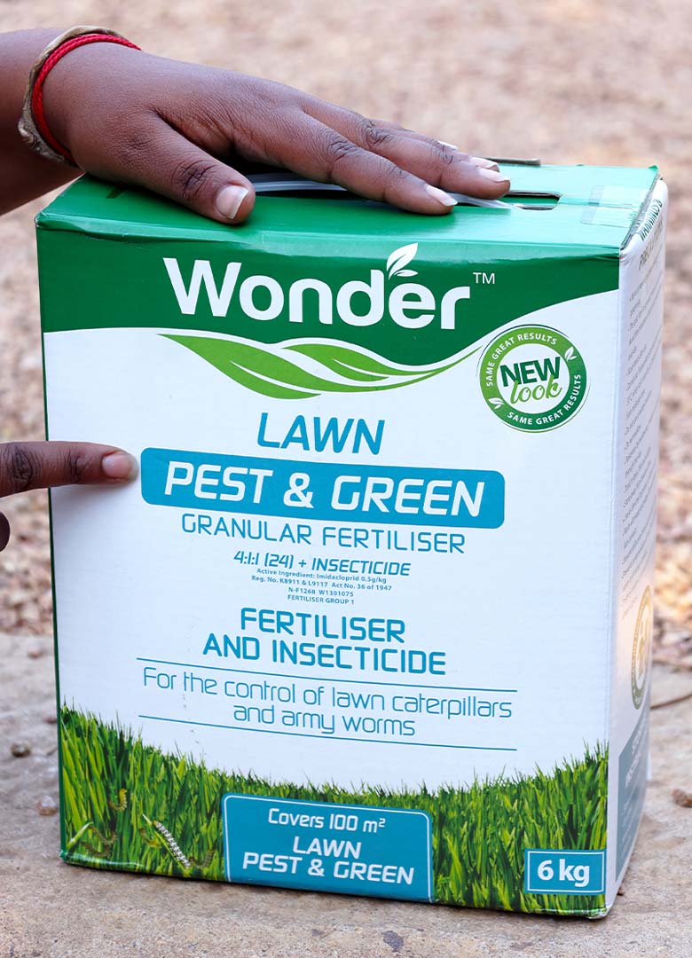 Wonder Lawn Pest and Green