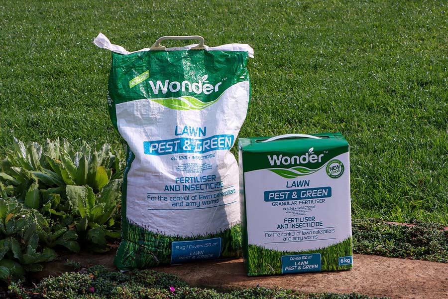 Achieve your dream lawn with Wonder Lawn Pest and Green