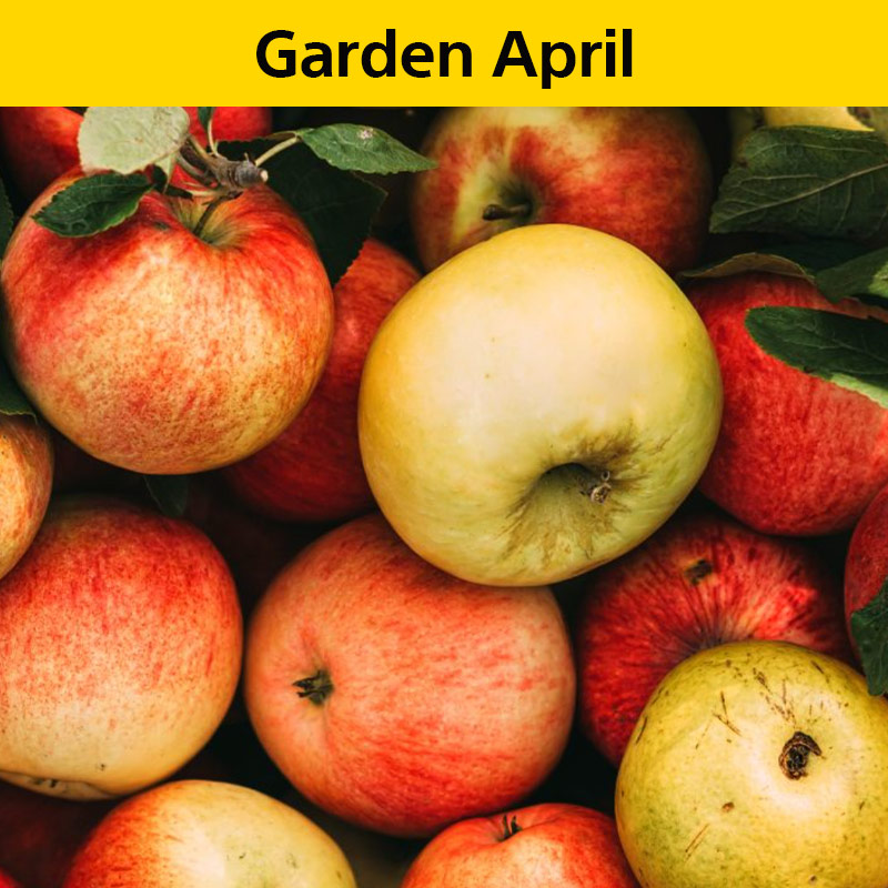 Recommended April Garden