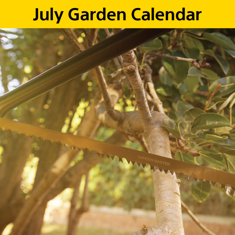 Garden Calendar June 