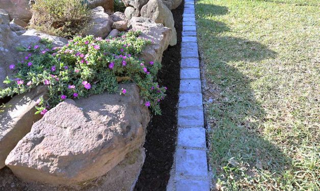 Transform your garden with cobblestone edging: a DIY guide