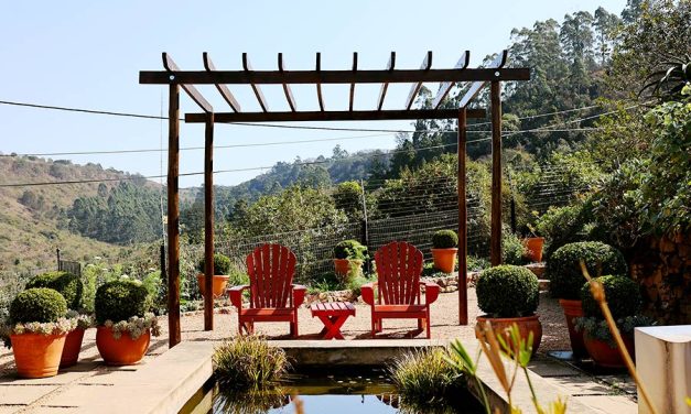 Crafting the Perfect Pergola – Transform your Outdoor Space