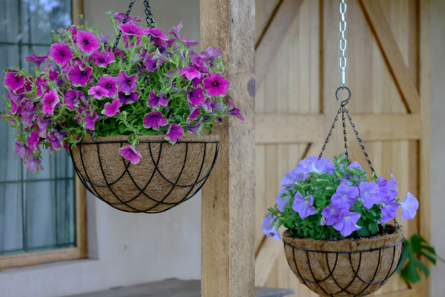 Hanging Baskets – Small Spaces, Big Impact!