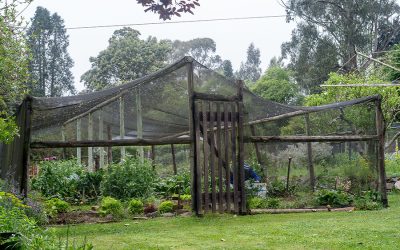 Greenhouses  – Where Great Gardens Begin