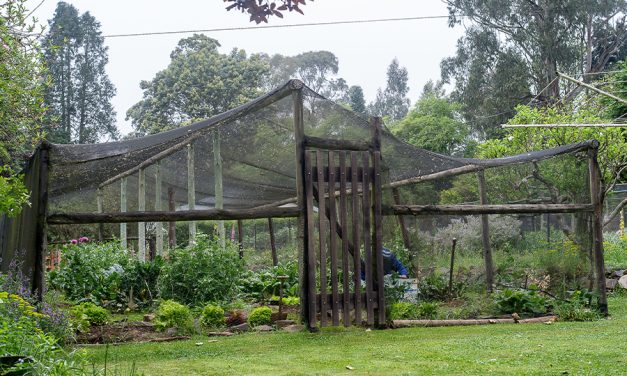 Greenhouses  – Where Great Gardens Begin