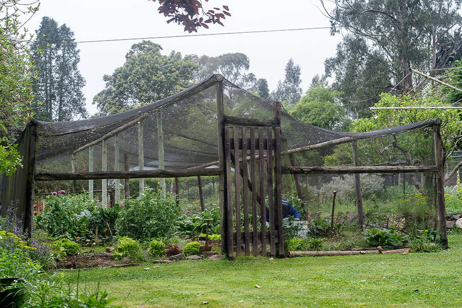 Greenhouses  – Where Great Gardens Begin