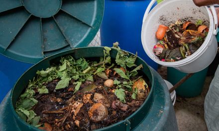 Compost as a Natural Insulator: Protection from Frost Damage