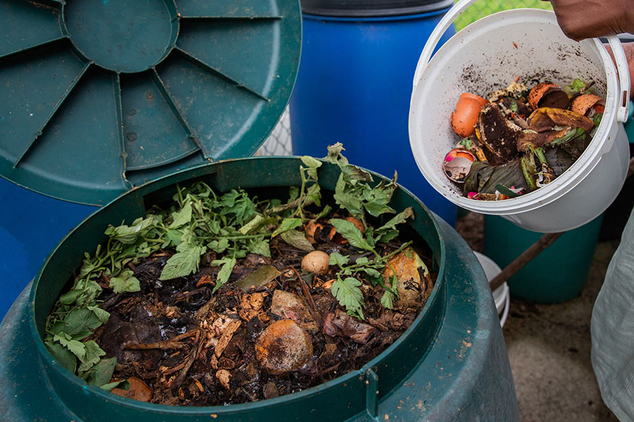 Compost as a Natural Insulator: Protection from Frost Damage