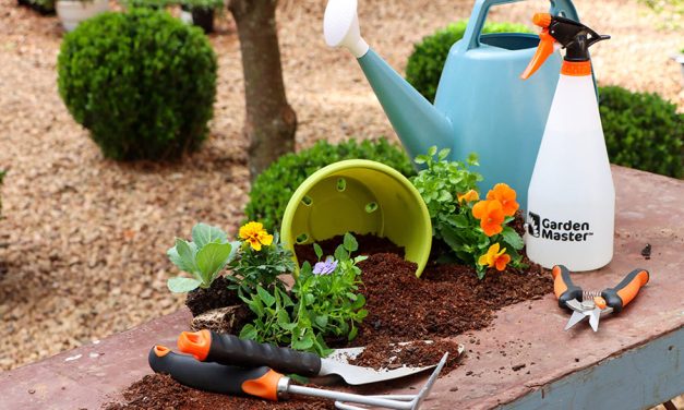 Get Your Garden Ready for Spring – The Easy Way!
