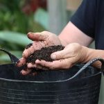 The Rich Rewards of Compost