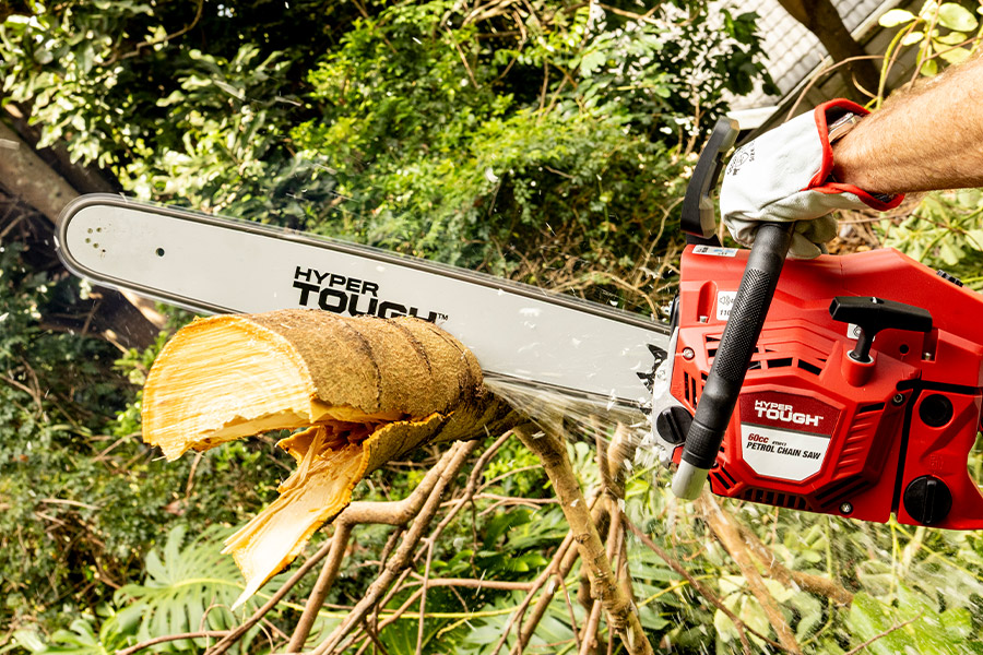 Petrol or cordless? Choosing the right garden tools for a stress-free summer.