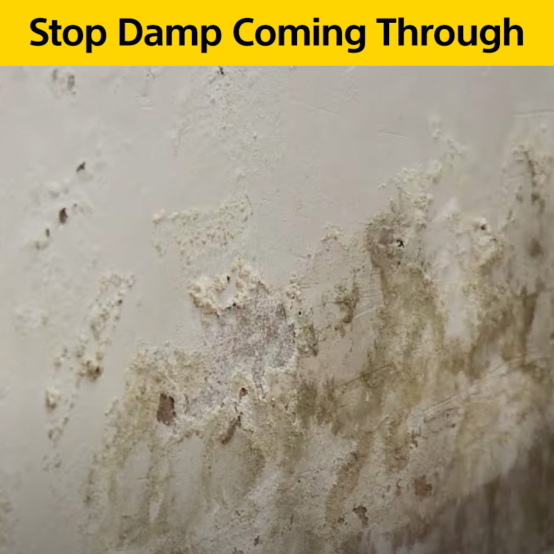 Stop Damp Coming Through Your Walls With Dampseal