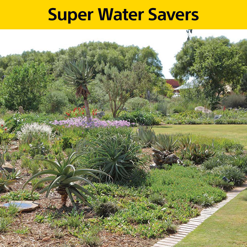 Super water savers