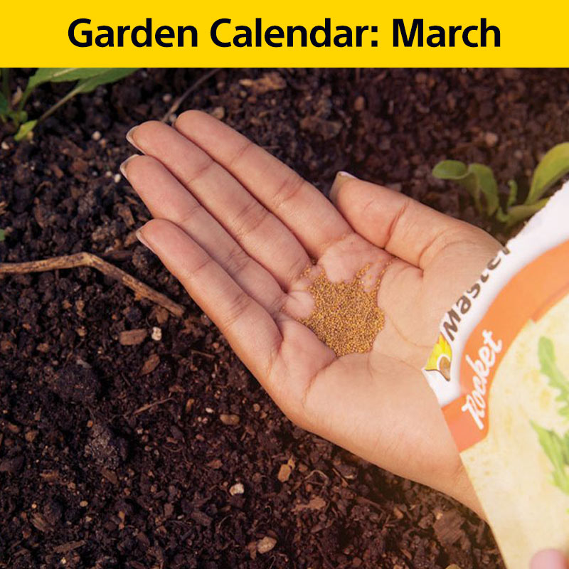 Stop Damp Coming Through Your Walls With Dampseal