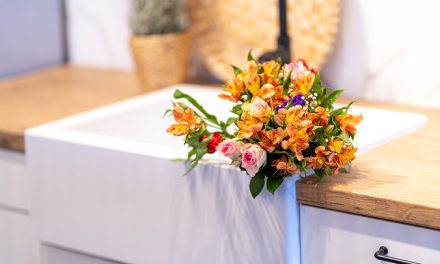 LAVEO Sinks – Single-bowl or two-bowl sink? Which model to buy?