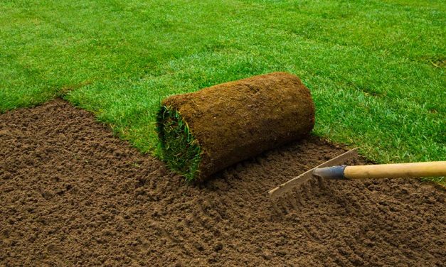Laying instant lawn: finish your garden faster.