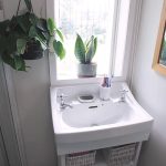 Rental bathroom refresh: plants & accessories