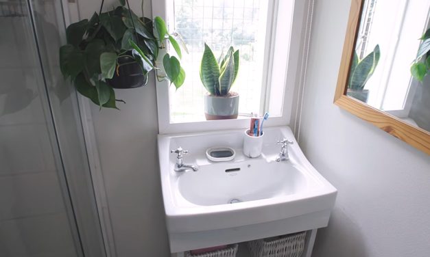 Rental bathroom refresh: plants & accessories