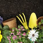 Get your garden ready for spring