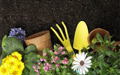 Get your garden ready for spring