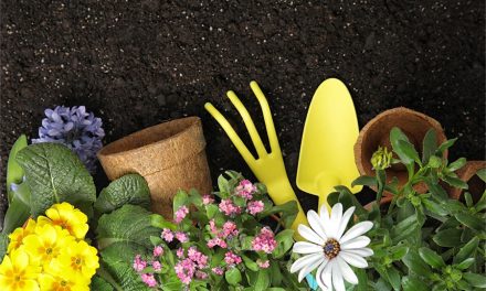Get your garden ready for spring