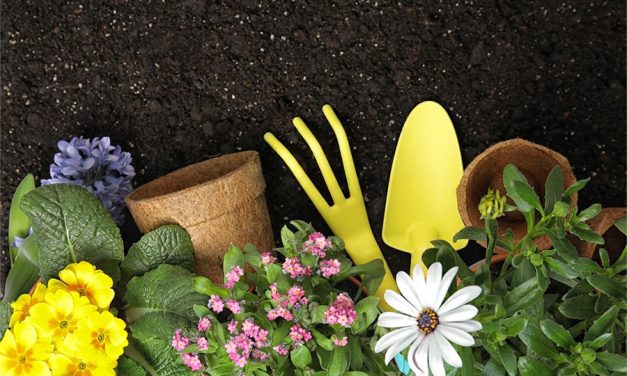 Get your garden ready for spring
