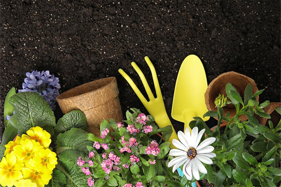 Get your garden ready for spring