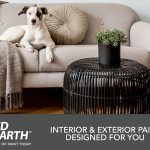 Interior & Exterior Paint Designed For You